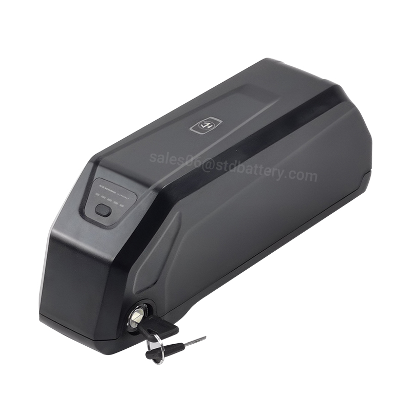 Batteria per e-bike da tubo in - Ebike Battery 48V 20Ah Hailong recensione e prezzo
