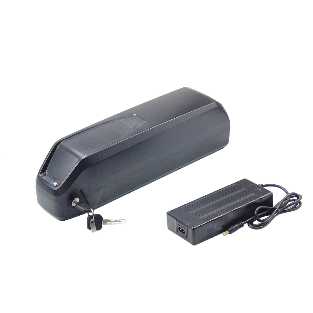 Batteria per bici elettrica Ha - Ebike Battery 48V 20Ah Hailong recensione e prezzo